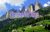 Trentino-Alto Adige D'argento inquartato: il primo ed il quarto all'aquila antica di Trento di nero, rostrata e membrata d'oro, contornata da fiamme di.