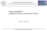 Flussi multifase: regimi di flusso e perdite di carico Università degli Studi di Udine Centro Interdipartimentale di Fluidodinamica e Idraulica Preparato.