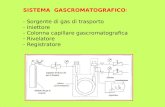 SISTEMA GASCROMATOGRAFICO : - Sorgente di gas di trasporto - Iniettore - Colonna capillare gascromatografica - Rivelatore - Registratore.