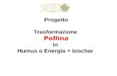 Progetto Trasformazione Pollina in Humus o Energia + biochar.