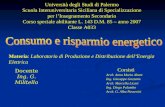 Università degli Studi di Palermo Scuola Interuniversitaria Siciliana di Specializzazione per lInsegnamento Secondario Corso speciale abilitante L. 143.