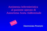 Assistenza infermieristica al paziente operato di Aneurisma Aorta Addominale Emerenziana Proserpio A cura di.