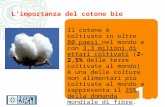 1.1. Limportanza del cotone bio Il cotone è coltivato in oltre 80 paesi nel mondo e con 3,3 milioni di ettari coltivati (2-2,5% delle terre coltivate al.