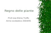 Regno delle piante Prof.ssa Elena Truffo Anno scolastico 2004/05.