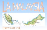 Cartina dell Asia fisica La Malaysia è uno Stato federale ed è situata nel Sud-Est asiatico. E formata da tredici stati e da tre territori federali. La.