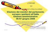 Elezione dei membri del parlamento europeo spettanti allItalia Elezioni amministrative 06-07 giugno 2009 SERVIZIO AMMINISTRATIVO/INFORMATICO UFFICIO SERVIZI