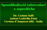 Spondilodisciti tubercolari e aspecifiche Dr. Cosimo Salfi Istituti Codivilla Putti Cortina dAmpezzo (Bl) - Italia.