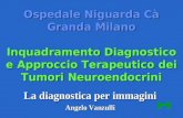 Ospedale Niguarda Cà Granda Milano Inquadramento Diagnostico e Approccio Terapeutico dei Tumori Neuroendocrini La diagnostica per immagini Angelo Vanzulli.