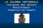 LA COLONNA VERTEBRALE LA COLONNA VERTEBRALE Diagnostica per Immagini.