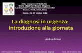 La diagnosi in urgenza: introduzione alla giornata Andrea Moser XXIV Congresso CSeRMEG Storie di (stra)ordinaria diagnosi La diagnosi in Medicina Generale.