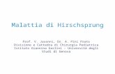 Malattia di Hirschsprung Prof. V. Jasonni, Dr. A. Pini Prato Divisione e Cattedra di Chirurgia Pediatrica Istituto Giannina Gaslini – Università degli.