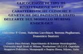 GLICOGENOSI DI TIPO III: RIVALUTAZIONE DELLE CARATTERISTICHE CLINICHE E GENETICHE DEI PAZIENTI E STATO DELLARTE SUL MODELLO MURINO KNOCK-OUT Giacomo P.