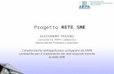 Progetto RETE SME ALESSANDRO PASSONI consulente ARPA Lombardia Settore Attività Produttive e Laboratori Caratteristiche dellapplicativo sviluppato da ARPA.