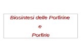 Biosintesi delle Porfirine ePorfirie. Protoporfirina IX + ferro = eme (ferroprotoeme) 1,3,5,8 metil 2,4 vinil 6,7 propionato Sostituenti sui carboni.