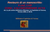 Restauro di un manoscritto: il cod. LVIII CONC. CALCEDONIENSIS ACTA da: La più antica biblioteca d'Europa. La Capitolare di Verona, Verona 1986, p. 86-91.