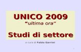 1 UNICO 2009ultima ora Studi di settore a cura di Fabio Garrini.