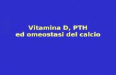 Vitamina D, PTH ed omeostasi del calcio. Funzioni principali della vit D Stimolazione dell'assorbimento del calcio e del fosforo a livello intestinale;