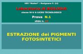 IISS Mattei – Rosignano S. (LI) Laboratorio di BIOLOGIA classe IV-V A LICEO TECNOLOGICO Prova N.1 slide n. 24 ESTRAZIONE dei PIGMENTI FOTOSINTETICI.