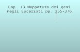 Cap. 13 Mappatura dei geni negli Eucarioti pp. 355-376.