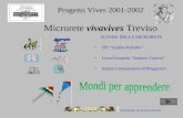 Microerete vivavives treviso Progetto Vives 2001-2002 Microrete vivavives Treviso SCUOLE DELLA MICRORETE ITS Andrea Palladio Liceo/Ginnasio Antonio Canova.