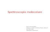 Spettroscopia molecolare Prof. Lorenzo Stella Settore 5, livello 1 (chimica fisica), stanza 4 06-7259-4463 stella@stc.uniroma2.it.