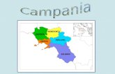 La Campania è prevalentemente collinare (50,8%), il 34,6.% di essa è montuosa e il 14,6 % pianeggiante.