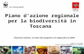 Elementi salienti, lo stato del progetto e le tappe fino al 2009 Piano dazione regionale per la biodiversità in Toscana Firenze 11/12/2008 Franco Ferroni-Responsabile.