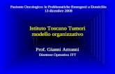 Istituto Toscano Tumori modello organizzativo Prof. Gianni Amunni Direttore Operativo ITT Paziente Oncologico: le Problematiche Emergenti a Domicilio 13.