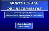 MORTE FETALE DEL III TRIMESTRE Università degli studi di Parma Dipartimento di Scienze Ginecologiche, Ostetriche e di Neonatologia Dott. G. Piantelli Dott.ssa.