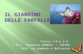 Classi 1 G e 2 E S.M.S. Norberto BOBBIO – TORINO Prof.sse Gambino e Belcastro.