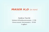 MASER H 2 O (e non) Andrea Tarchi Istituto di Radioastronomia - CNR Osservatorio Astronomico - INAF Cagliari.