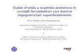 Guide donda a scambio protonico in cristalli ferroelettrici con domini ingegnerizzati superficialmente Prof. Stefano Riva Sanseverino Dipartimento Ingegneria.