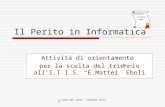 A cura del prof. Claudio Ricci Il Perito in Informatica Attività di orientamento per la scelta del triennio allI.T.I.S. E.Mattei Eboli.