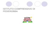 ISTITUTO COMPRENSIVO DI PEDEROBBA. Costruzione del curricolo proposte operative marzo – maggio 2008.