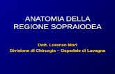 ANATOMIA DELLA REGIONE SOPRAIODEA Dott. Lorenzo Mori Divisione di Chirurgia – Ospedale di Lavagna.