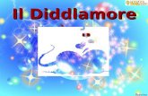 Il Diddlamore è …. … una splendida avventura … … scritta in un lungo romanzo …