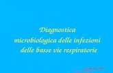 Lucia Martelli Diagnostica microbiologica delle infezioni delle basse vie respiratorie Lucia Martelli