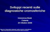 Sviluppi recenti sulle diagnostiche cromosferiche Innocenza Busà Catania 24 Ottobre 2006 La figura di Marcello Rodonò nella ricerca Astrofisica nella ricorrenza.