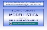 Centro Regionale di Competenza Analisi e Monitoraggio del Rischio Ambientale Sezione TematicaMODELLISTICA responsabile LUCILLA DE ARCANGELIS.