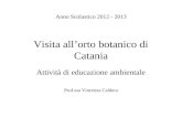Visita allorto botanico di Catania Attività di educazione ambientale Prof.ssa Vincenza Caldera Anno Scolastico 2012 - 2013.