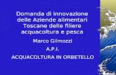 Domanda di innovazione delle Aziende alimentari Toscane delle filiere acquacoltura e pesca Marco Gilmozzi A.P.I. ACQUACOLTURA IN ORBETELLO.