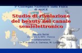 Studio di rivelazione del beauty nel canale semielettronico Rosario Turrisi Università & INFN - Padova in collaborazione con F. Antinori, A. Dainese, M.