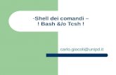 Shell dei comandi – ! Bash &/o Tcsh ! carlo.giocoli@unipd.it