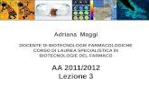 Adriana Maggi DOCENTE DI BIOTECNOLOGIE FARMACOLOGICHE CORSO DI LAUREA SPECIALISTICA IN BIOTECNOLOGIE DEL FARMACO AA 2011/2012 Lezione 3.