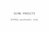 SCAN PROSITE ExPASy proteomic tool. COSE SCAN PROSITE È uno strumento di ExPASy molto utile nellanalisi di proteine. Il principio su cui si basa è il.