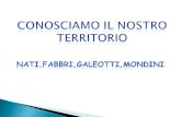 VaC3p2w Mondiale Italiana Territoriale Sintomi e conseguenze Aspetto politico ed economico analisi grafica e testimonianze.