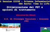 Ottimizzazione del PDT e opzioni di trattamento Giovanni De Blasis U.O. di Chirurgia Vascolare – Avezzano (AQ) Joint Session SICVE – Scienze Infermieristiche.