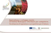 1. Agricoltura organizzata, alcuni casi di successo Intervento di Kees de Roest, CRPA – Reggio Emilia Il caso dellagricoltura olandese.