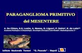 PARAGANGLIOMA PRIMITIVO del MESENTERE A. De Chiara, N.S. Losito, A. Manna, G. Liguori, P. Delrio*, E. de Lutio** Anatomia Patologica e Citopatologia, Oncologia.