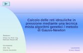 Calcolo delle reti idrauliche in pressione mediante una tecnica mista algoritmi genetici / metodo di Gauss-Newton Laureando: Enrico Masini Relatore: Chiar.mo.